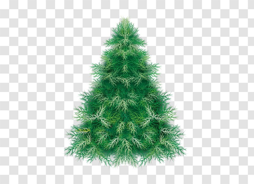 Pine Christmas Tree Spruce - Drawing - Winter Transparent PNG