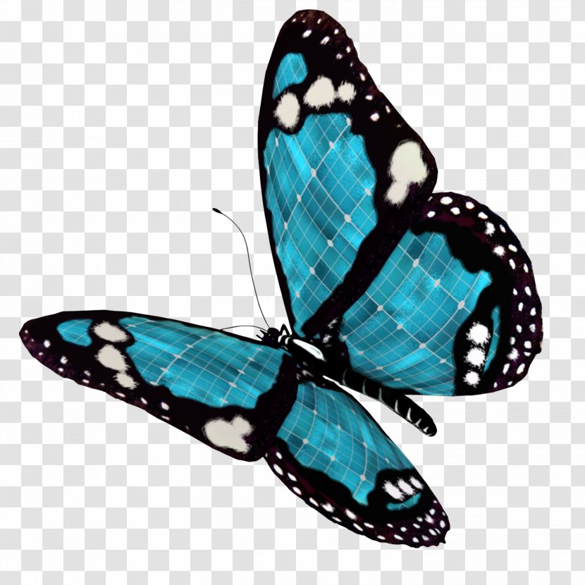 Desktop Wallpaper Butterfly Clip Art - Insect Transparent PNG