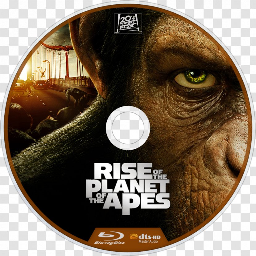 Planet Of The Apes Film Poster Subtitle - Snout Transparent PNG