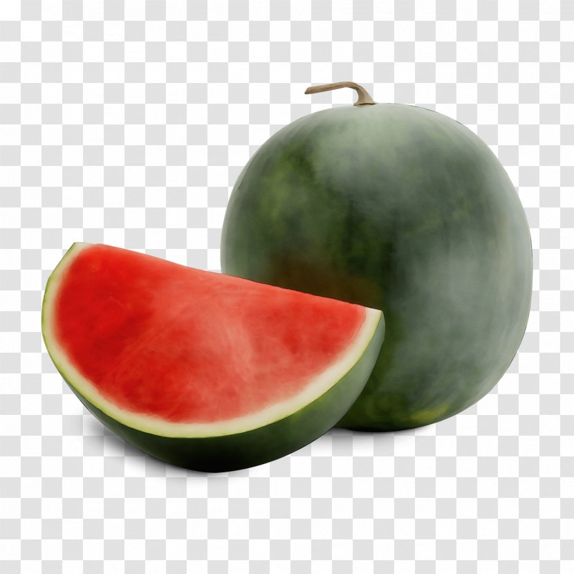 Watermelon - Watercolor - Cucumber Gourd And Melon Family Still Life Photography Transparent PNG