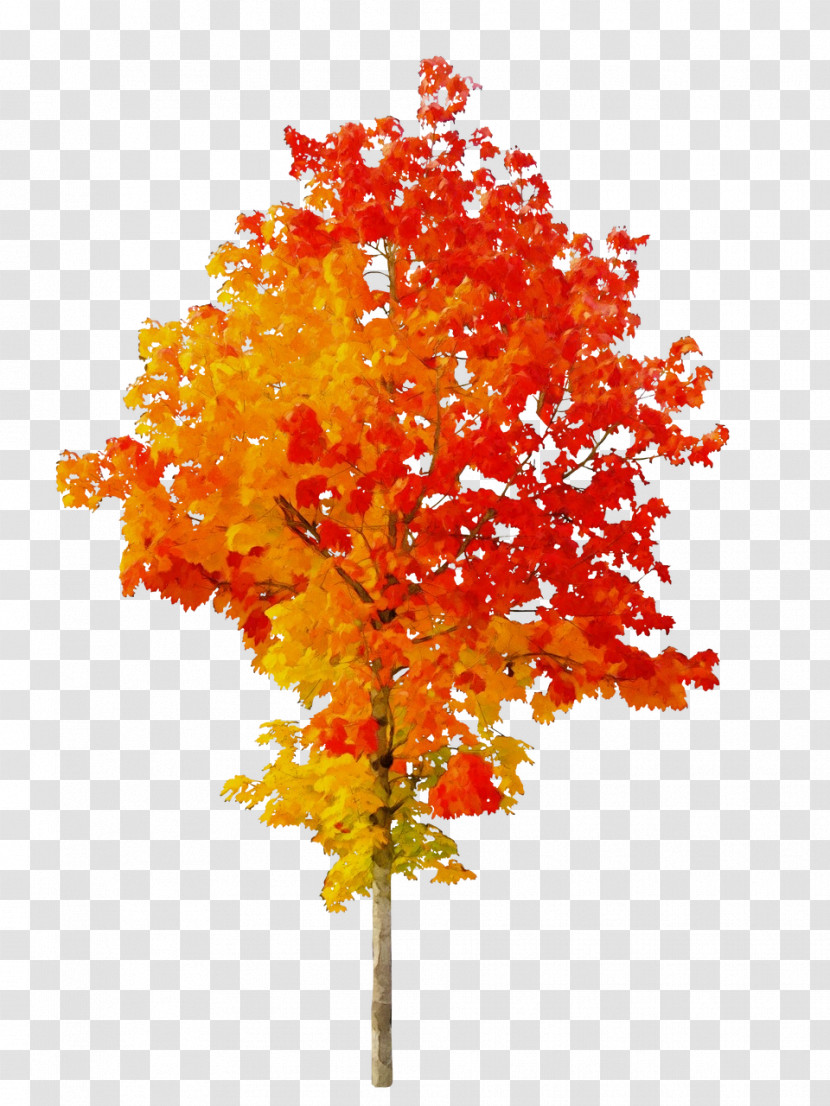 Autumn Fall Tree Openclipart Transparency Transparent PNG
