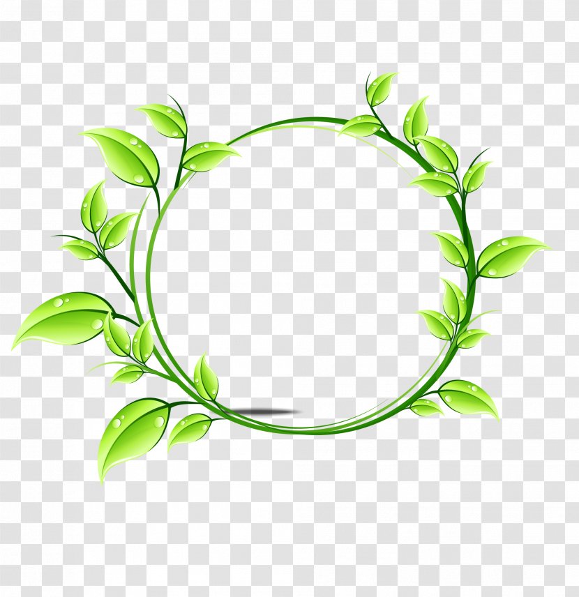 Capsule Tablet - Floral Design - Simple Green Straw Ring Transparent PNG