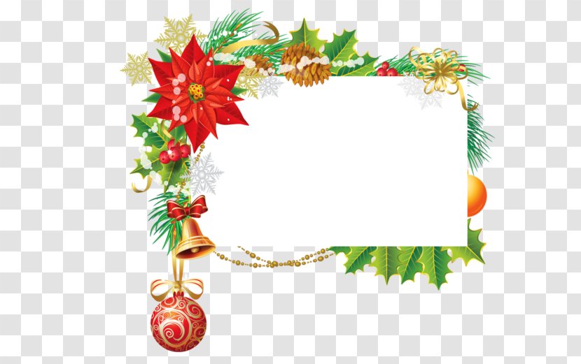 Christmas Ornament Day Card Santa Claus Clip Art - Branch Transparent PNG