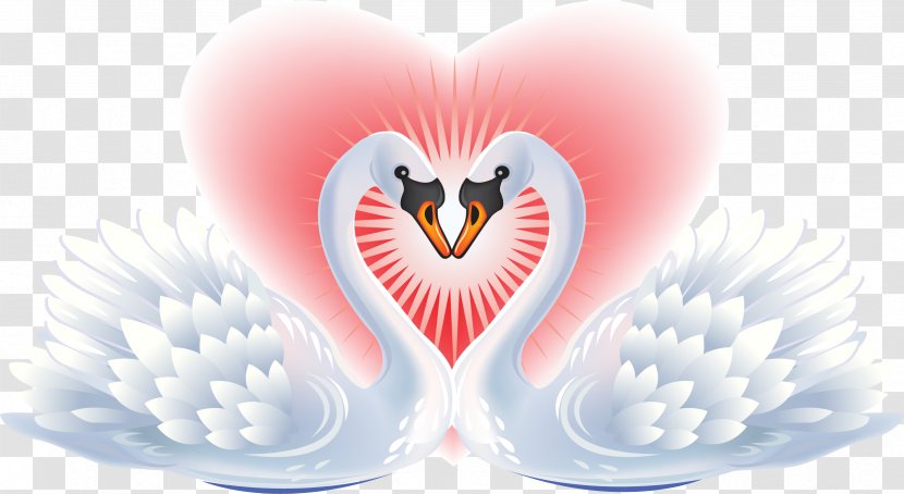 Black Swan Heart Clip Art Transparent PNG