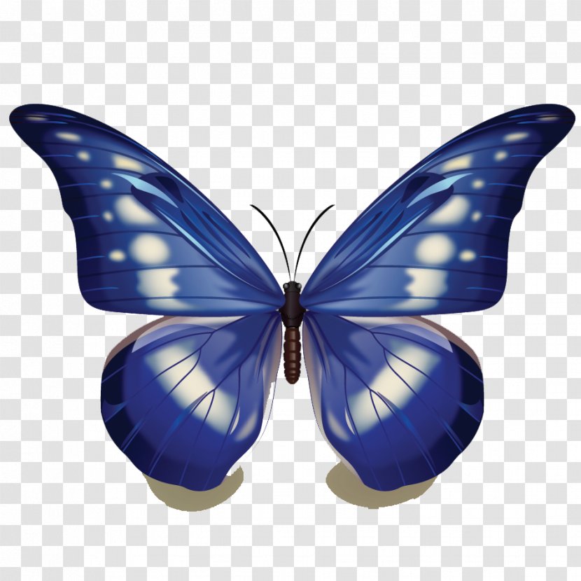 Monarch Butterfly - Cobalt Blue Transparent PNG