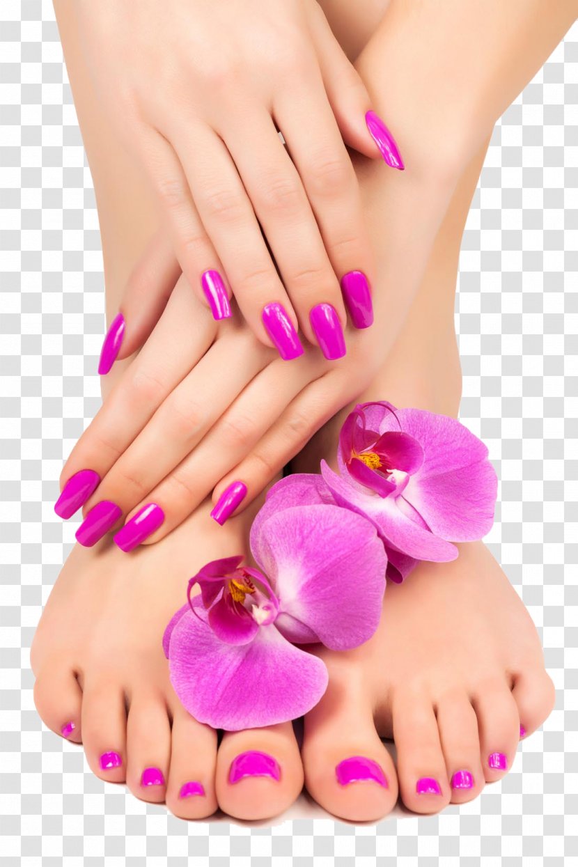 Manicure Pedicure Nail Lotion Massage - Hand Model - Feet And Close-up Transparent PNG