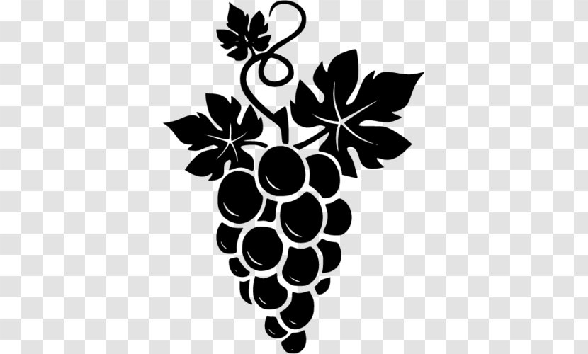 Table Grape Grapevines - Royaltyfree Transparent PNG