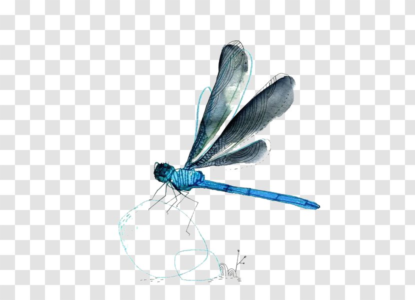Dragonfly - Insect - Watercolor Transparent PNG