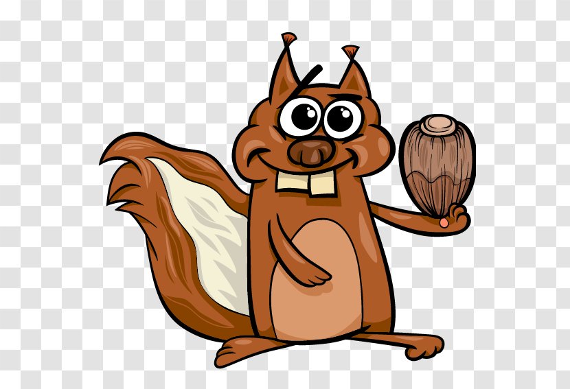 Squirrel Stock Illustration Vector Graphics Photography - Bebek Kanguru Transparent PNG