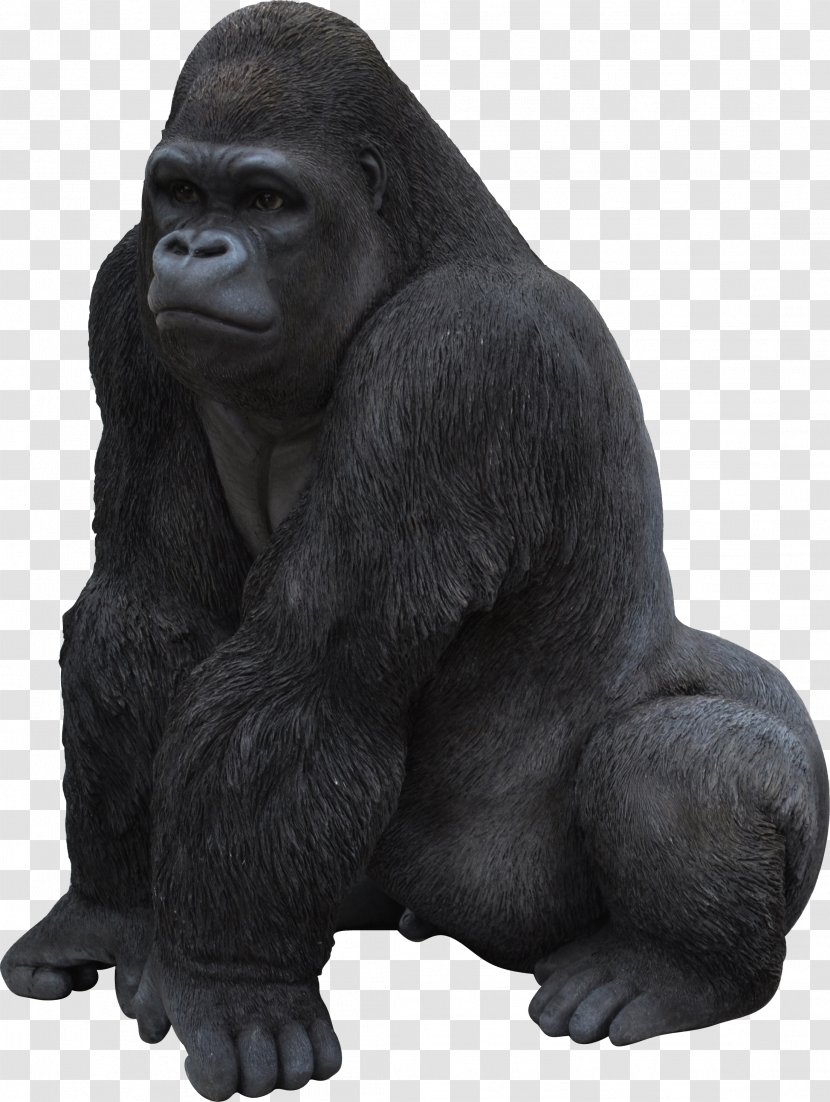 Gorilla Icon - Western Transparent PNG