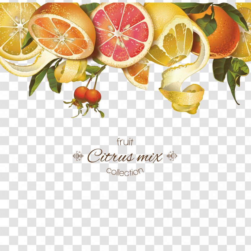Juice Lemon Grapefruit Tangerine - Cosmetics, Skin Care Products, SPA Beauty Salon Transparent PNG