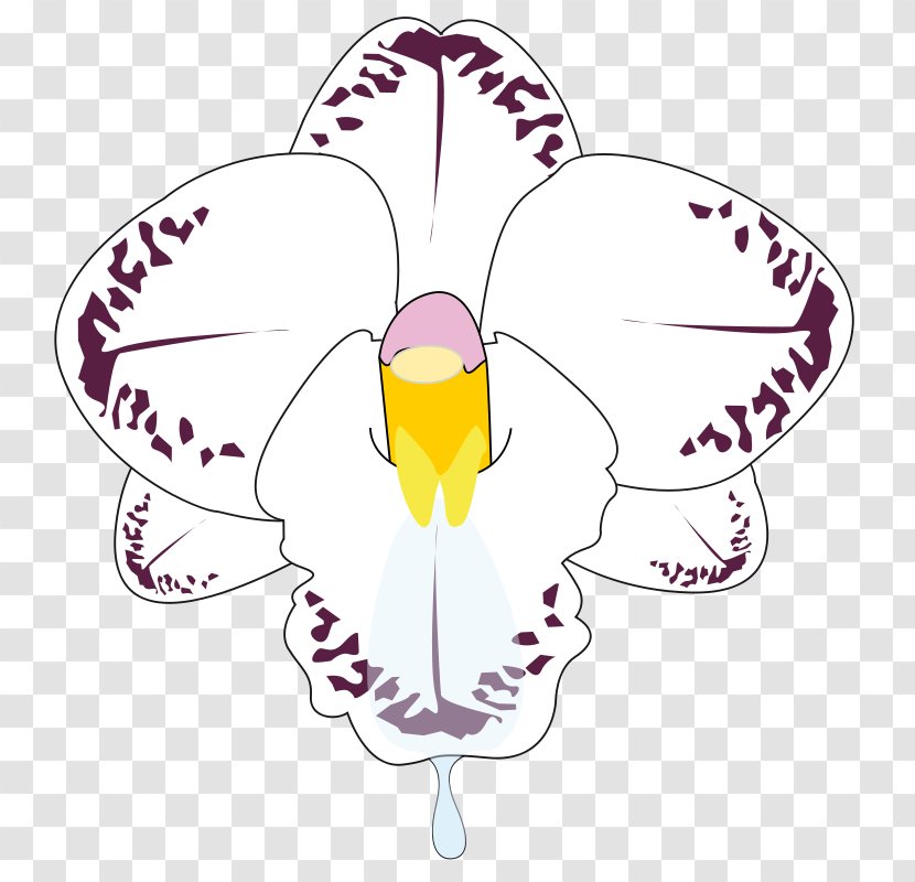 Flower Orchids Clip Art - Leaf - Orchid Vector Transparent PNG