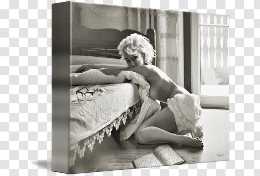 Furniture Stock Photography White - Black And - Marilyn Monroe Drawings Transparent PNG