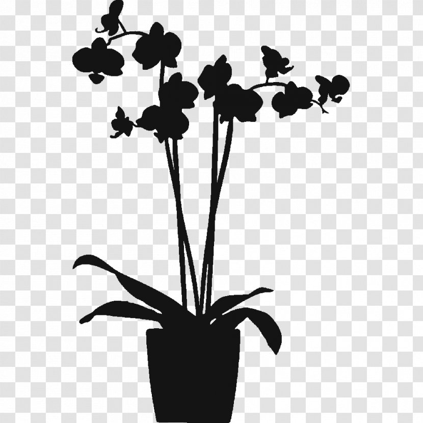 LADP - Plant Stem - Orchids In Pots Protection Film, Large (48x120cm) Window Flowering PlantOrchid Branch Silhouette Transparent PNG