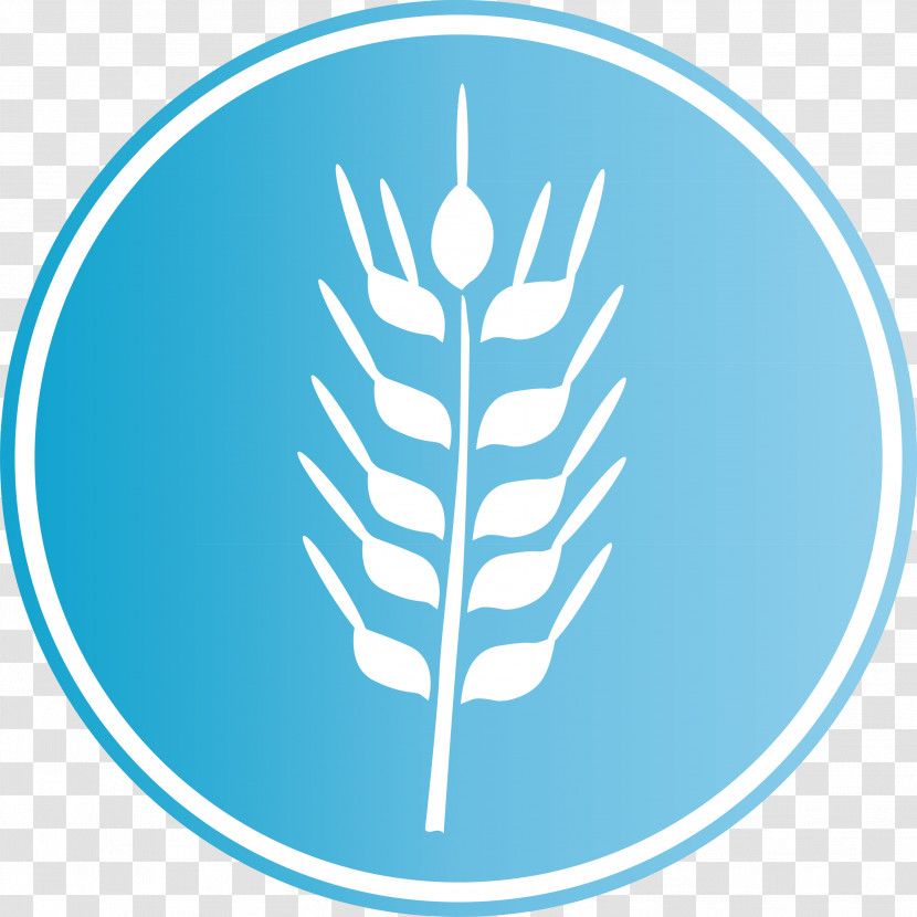 Oats Wheat Oats Logo Transparent PNG