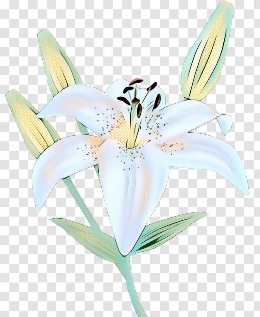 Clip Art Portable Network Graphics Desktop Wallpaper Image Lily 'Stargazer' - Petal - Easter Transparent PNG