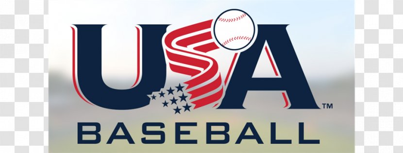 Baseball Bats Logo Brand Banner - Little League Transparent PNG