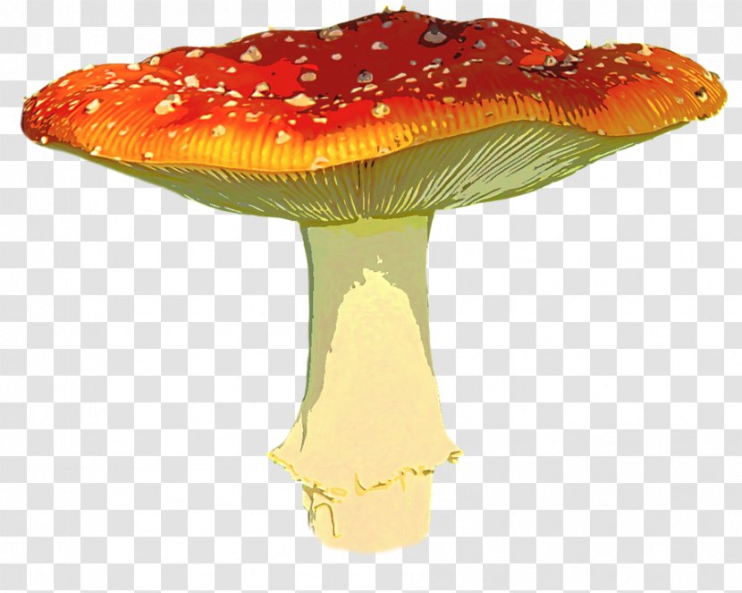 Mushroom Clip Art - Amanita - Muscaria Transparent Image Transparent PNG