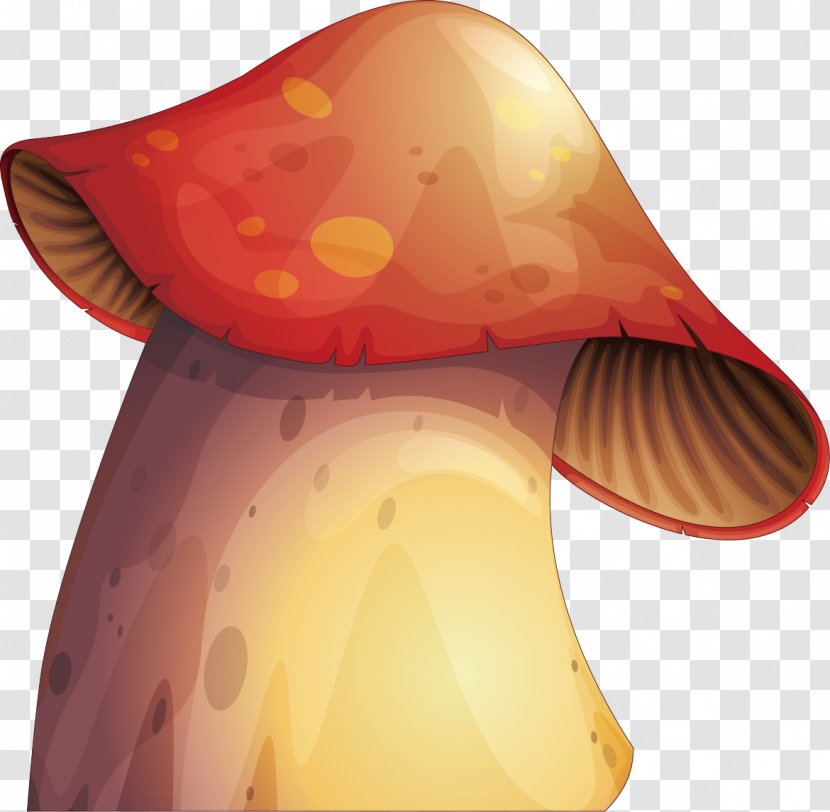 Mushroom Euclidean Vector Fungus Illustration - Agaricus - Hand-painted Decorative Mushrooms Transparent PNG