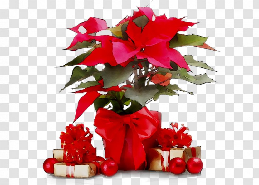 Gift Christmas Ornament Stock Photography Poinsettia - New Year - Flowering Plant Transparent PNG
