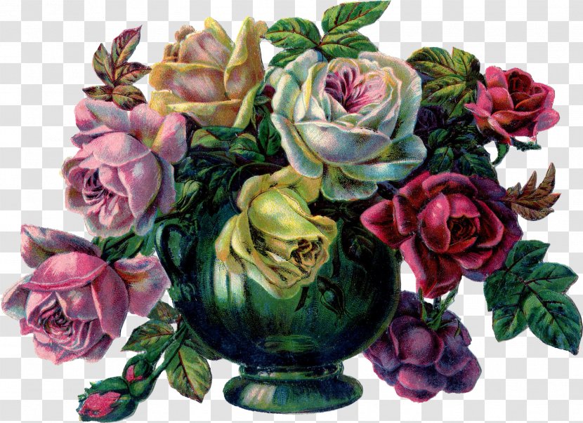 Vase Drawing Roses In A Bowl - Plant Transparent PNG