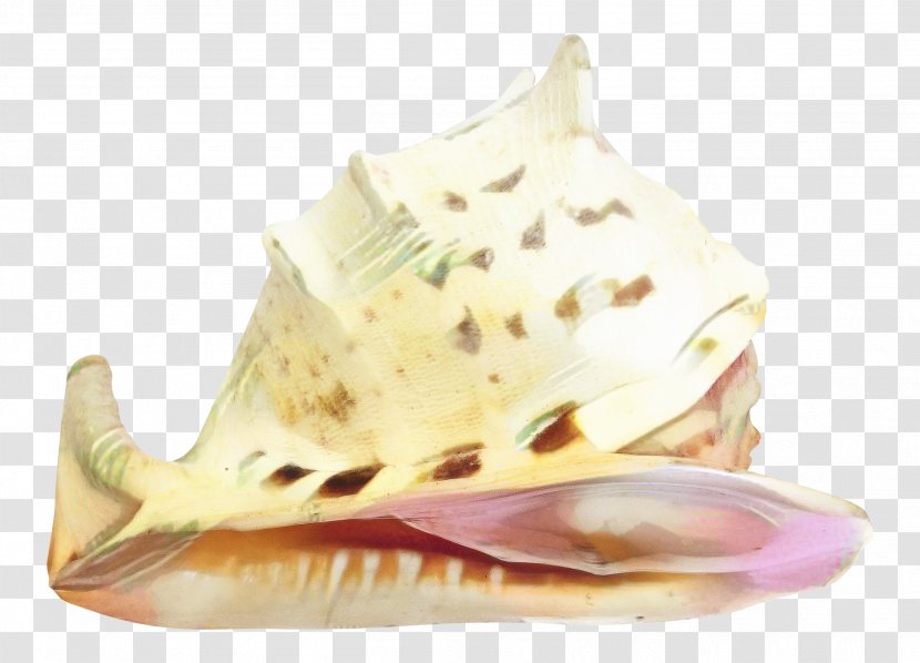 Wind Cartoon - Conch - Snails And Slugs Instrument Transparent PNG