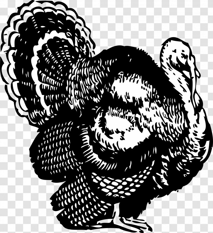 Black Turkey And White Thanksgiving Clip Art - Beak - Cleaning Cliparts Transparent PNG