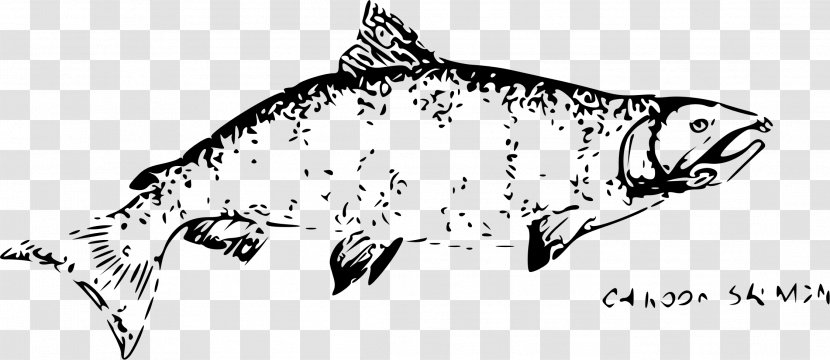 Drawing Chinook Salmon Pink Chum Black And White - Monochrome Photography - SALMON Transparent PNG