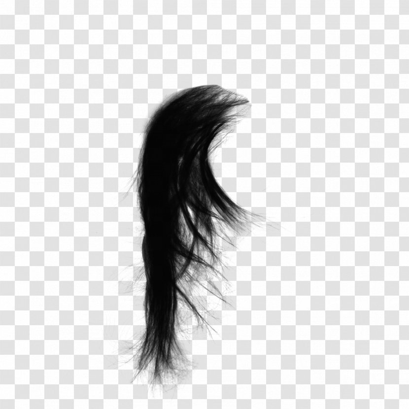 Drawing Capelli Black Hair - Tree - Real Long Transparent PNG