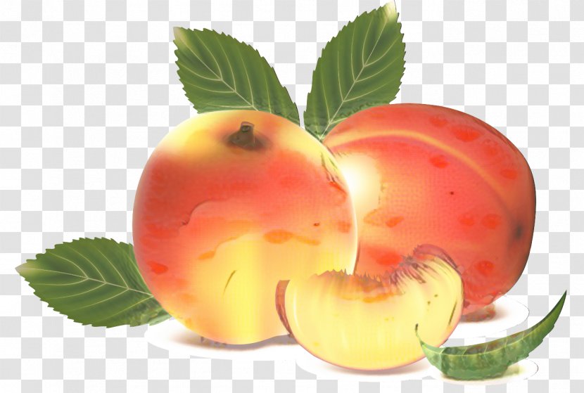 Clip Art Fruit Peach Image - Plant - Apricot Transparent PNG