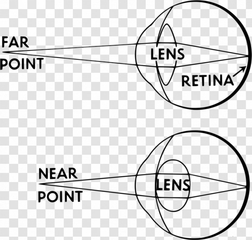 Accommodation Reflex Human Eye Lens - Far Point Transparent PNG