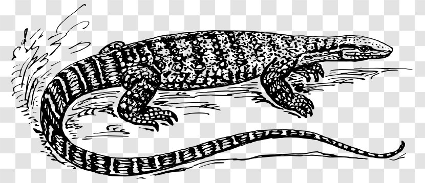 Lizard Komodo Dragon Common Iguanas Reptile Clip Art Transparent PNG