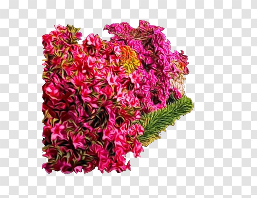 Pink Flower Cut Flowers Plant Magenta - Prince Of Wales Feathers - Amaranth Family Bouquet Transparent PNG