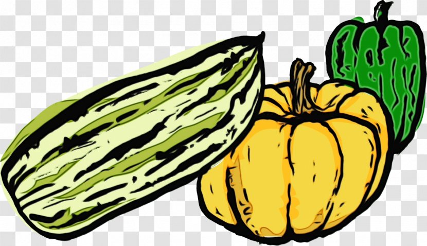 Natural Foods Vegetable Plant Vegetarian Food Winter Squash - Fruit Transparent PNG