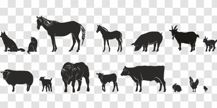 Finnish Presidential Election, 2018 Cattle Animal Agriculture Clip Art - Livestock - 12 Animals Transparent PNG