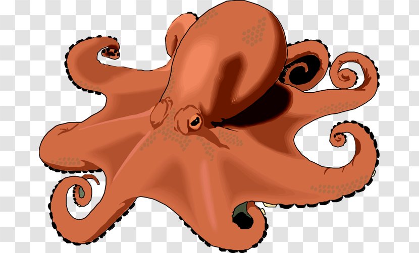 Octopus Free Content Clip Art - Marine Invertebrates - Octo Cliparts Transparent PNG