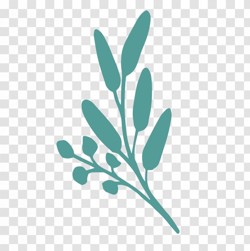 Leaf Logo Font Plant Stem Flower Transparent PNG