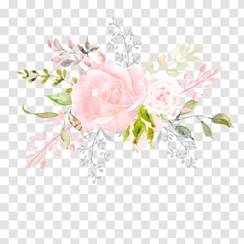 Garden Roses Floral Design Flower - Pink - Branch Transparent PNG