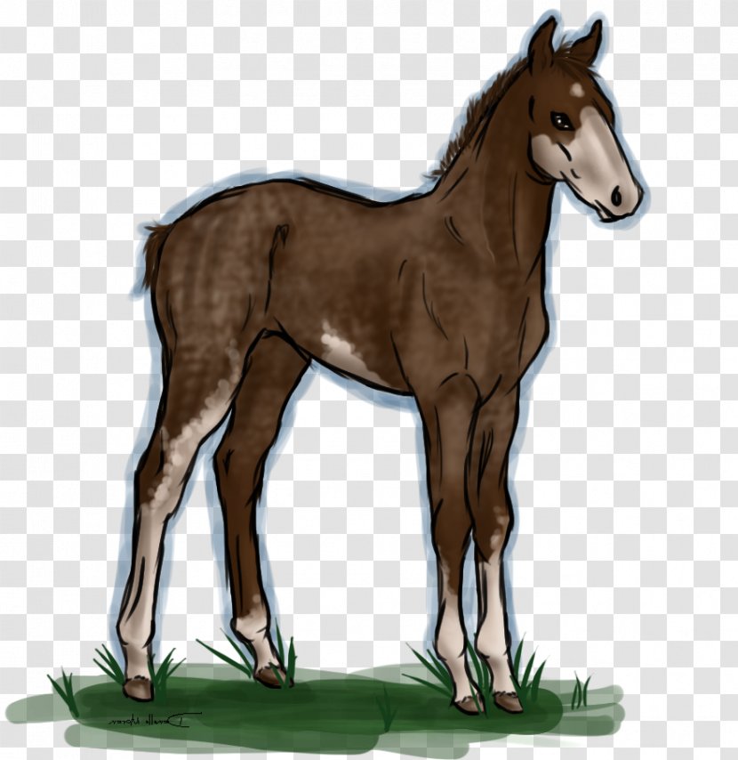Foal Mustang Colt Stallion Halter - Bad Spirits Transparent PNG