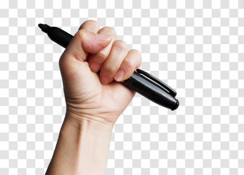 Paper Sharpie Drawing Marker Pen - Bulk Of Hand Holding Transparent PNG