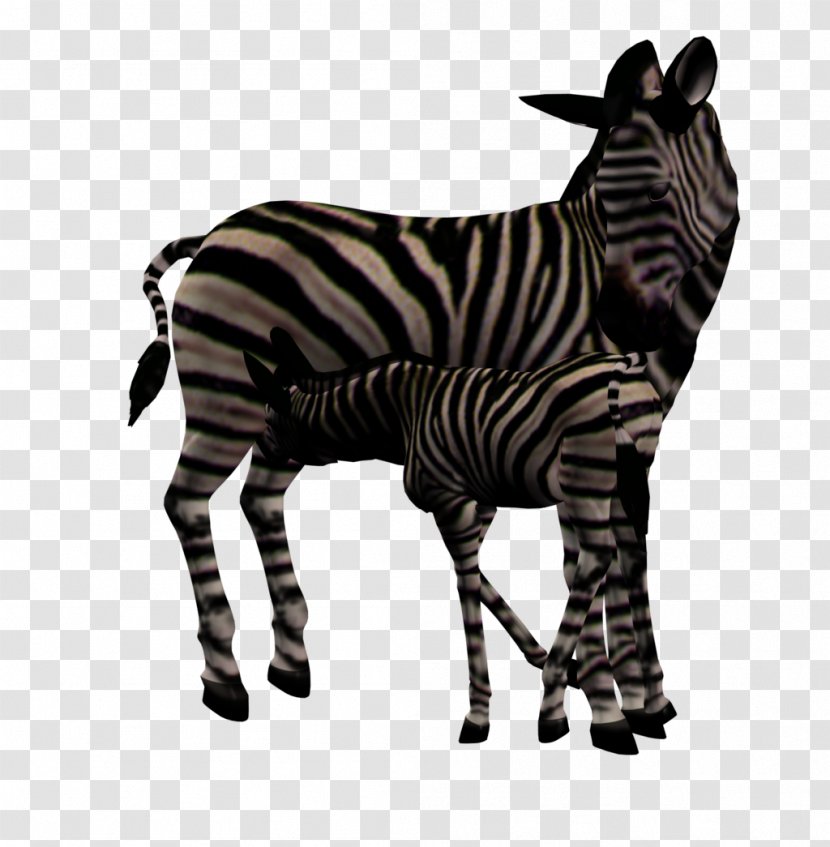 Foal Quagga Mare Zebra - Black And White Transparent PNG