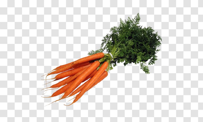 Baby Carrot Mirepoix Leaf Vegetable Superfood Transparent PNG