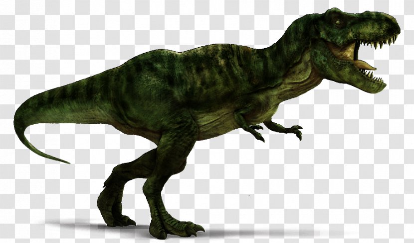 Velociraptor Spinosaurus Tyrannosaurus Rex Carnotaurus Triceratops - T Transparent PNG
