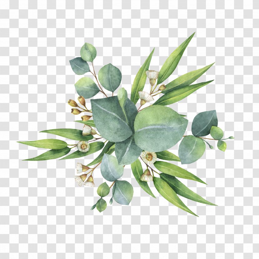 Watercolor Painting Flower Bouquet Leaf - Eucalyptus Transparent PNG