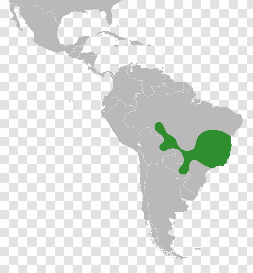 Latin America South Caribbean Subregion United States Transparent PNG
