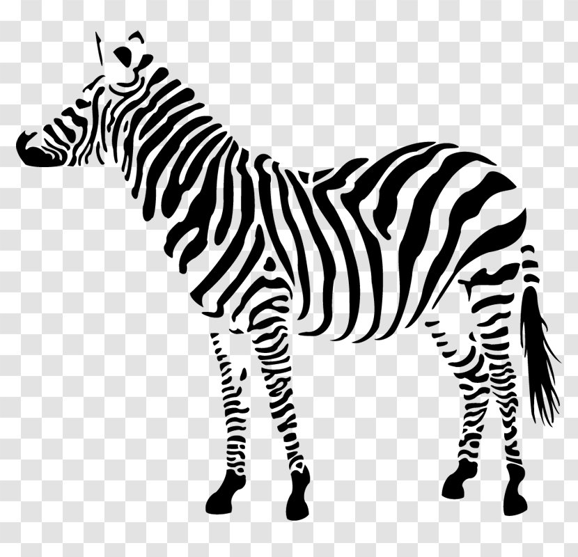 Zebra Cartoon - Grassland - Tail Transparent PNG