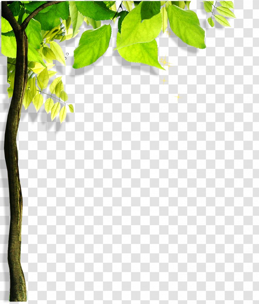 Green Leaf Angle - Yellow - Tree Transparent PNG
