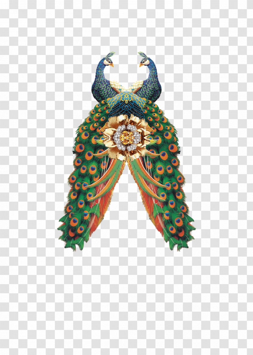 Peafowl Illustration - Feather - Peacock Transparent PNG