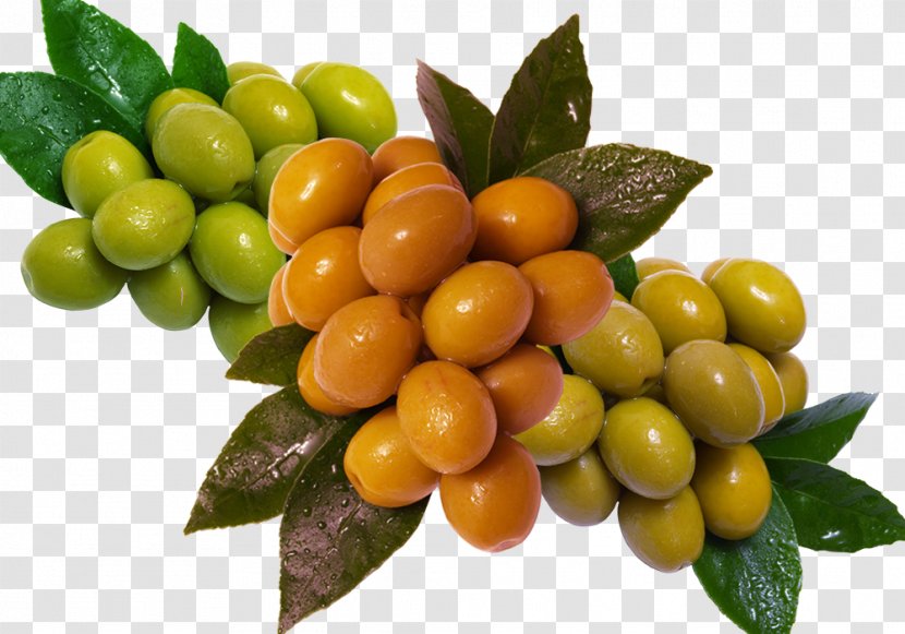 Olive Kumquat - Green And Orange Creative Transparent PNG