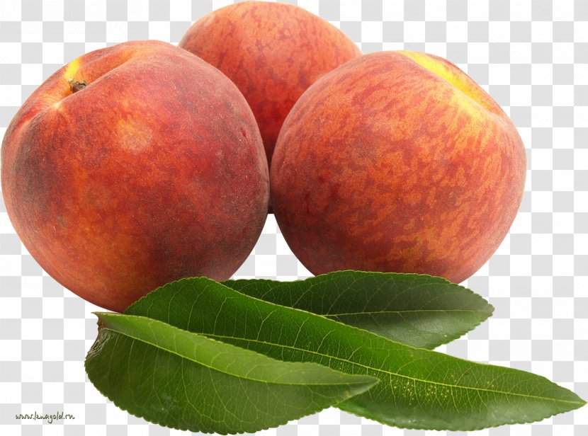 Fruit Nectarine Food - Apricot - Cherry Transparent PNG